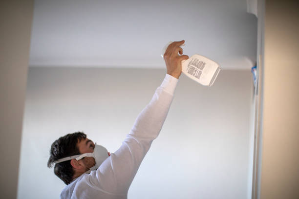 Best Kitchen Mold Remediation in Stockton University, NJ