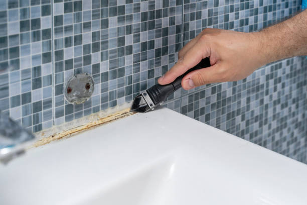 Best Localized Mold Remediation (e.g., coastal areas, humid climates) in Stockton University, NJ