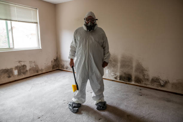 Best Post-Flood Mold Remediation in Stockton University, NJ